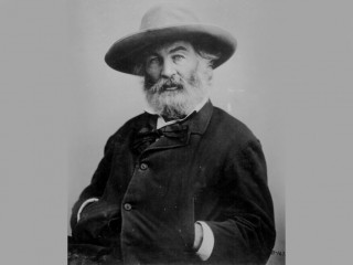 Walt Whitman picture, image, poster